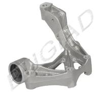 BUGIAD BSP20325 Holder, control arm mounting