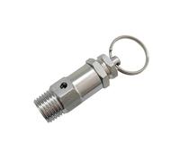 Control Device 1/8" 1/4" Male Mini Pressure Relief Valve Stainless Steel SS304 PTFE Seal Adjustable 0.5 To10 Bar(1/8",6bar)