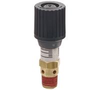 Control Devices CR Series Brass Pressure Relief Valve, 0-100 psi Adjustable Pressure Range, 1/4" Male NPT