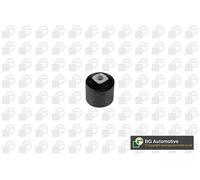Control/Trailing Arm Mounting Fits Land Rover Freelander BGA BU4298