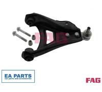 Control/Trailing Arm, wheel suspension for RENAULT CLIO FAG 821 0313 10