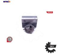 ESEN SKV Control Unit 59SKV140 – Cornering/Dynamic Bending Light for BMW X5/X6