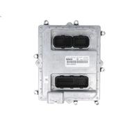 DT Spare Parts 7.78224 Control Unit, fuel injection