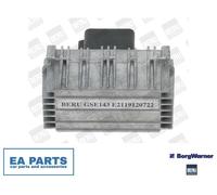 Control Unit, glow time BORGWARNER (BERU) GSE143