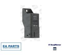 Control Unit, glow time BORGWARNER (BERU) GSE147