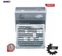 ESEN SKV 59SKV184 Lighting control module