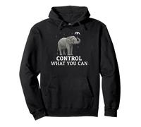 Control What You Can Positive Growth Mindset Quotes Pullover Hoodie