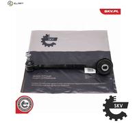 ESEN SKV 69SKV187 Suspension arm