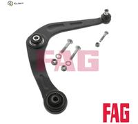 FAG 821 0613 10 Suspension arm