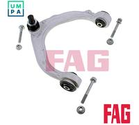FAG 821 0974 10 Suspension arm