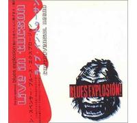 Controversial Negro (Live In Tucson) by Jon Blues Explosion Spencer