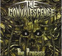 Convalescence - Convalescence : The Process