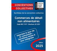 Convention collective nationale commerces de détail non alimentaires - IDCC 1517 - JO 3251: Synthèse de la convention collective