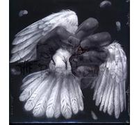 Converge - The Poacher Diaries