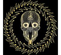 Converge – Thousands of Miles Between Us – Blu-ray / DVD – 2015