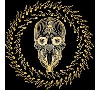 Converge - Thousands of Miles Between Us [Blu-ray] [2015] [DVD]
