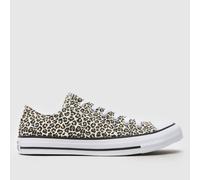Converse all star ox trainers in print UK 5 (EU 37½)