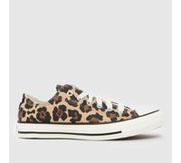 Converse Brown Multi All Star Lo Girls Youth Trainers UK 3 (EU 35½)