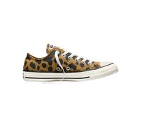 Converse - Canvas ascent shoes - Chuck Taylor All Star Ox Honey Stick/Black/Egret for Women - Size 5,5 UK - Yellow Yellow 5.5 UK
