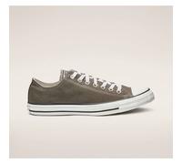 Converse Chuck Taylor All Star Ox Trainers