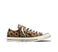 Converse CTAS OX Honey Stick Black Egret 39.5, Honey Stick Black Egret, 7.5 UK