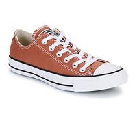 Converse Shoes (Trainers) CHUCK TAYLOR ALL STAR in Brown 3.5
