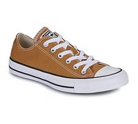 Converse Chuck Taylor All Star Trainers Incensed 6