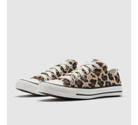 Converse Womens Chuck Taylor All Star Leopard