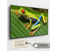 Convert Your TV into an Art TV | Turn TV into Digital Picture Frame | Smart TV Framed Art | USB Slideshow for TV | Picture Slideshow Display TV (Dream Nature 4K)