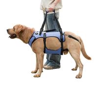 COODEO Dog Harness, Full Body Support & Recovery Sling, Adjustable & Breathable, for Senior, Disabled, Joint Injured, Arthritic & Paralyzed Dogs. (Blue, 2XL)