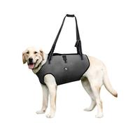 Coodeo Dog Lift Harness, Pet Support & Rehabilitation Sling Lift Adjustable Padded Breathable Straps for Old, Disabled, Joint Injuries, Arthritis, Loss of Stability Dogs Walk (Grey, XL)