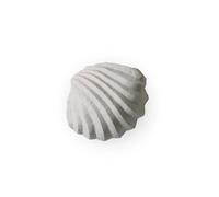 Cooee Design The Clam Shell sculpture 13 cm Limestone