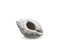 Cooee Design The Pear Shell sculpture 16 cm Limestone