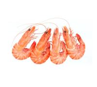 Cooked Shell On Frozen Cold Water Prawns (80-100 Prawns) 5kg | Fish and Seafood Seasoning Set Included
