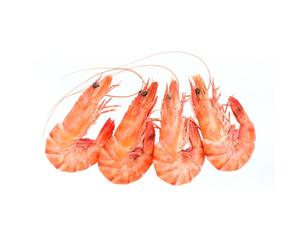 Cooked Shell On Frozen Cold Water Prawns (80-100 Prawns) 5kg | Fish and Seafood Seasoning Set Included