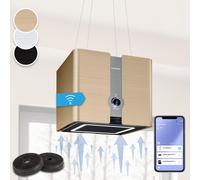 Cooker Hood Island Cooker Extractor Hood Kitchen Ceiling Chimney Hood Steel Gold [EEK: C]