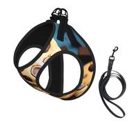Cookies Food Chocolate Chips Biscuits Print Dog Harness and Leash Set,Breathable Adjustable Escape Proof Vest for Dogs, Cats