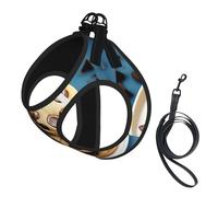Cookies Food Chocolate Chips Biscuits Print Soft Mesh Dog Harness and Leash Set Pet Puppy Cat Comfort Padded Vest No Pull Harnesses