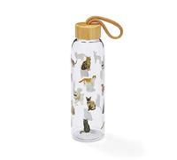 Cooksmart Curious Cats 500ml Glass Water Bottle