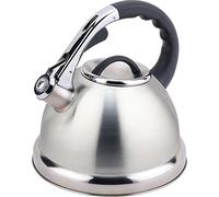 CookSpace (TM) Premium Stylish Stove Top Large 3.5 Litre Satin Stainless Steel Whistling Kettle with Soft Touch Handle and Push Button Spout