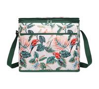 Cool Bag - Foldable Cooler Bag | 18L Picnic Food Container | Official's Multifunctional Portable Soft Cooler for Water for Vacac Travel Hikes