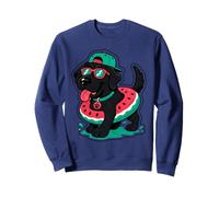 Cool Black Labrador Dog Watermelon Float Summer Sweatshirt