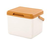 Cool Box - 5L Large Insulated Waterproof Compact Ice Cooler | Thermal Container Keeps Hot or Cold Food and Drinks | Portable Storage for Camping, Picnics, Festivals, Travel, Stra