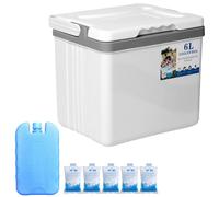 Cool Box 6L - Portable Insulated Cooler Box for Camping Beach Picnic Hiking Boating Tailgate Freezer Box and Lunch Box with 5 Ice Packs for a Refr