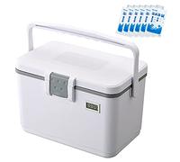 Cool Box for Food and Drinks with Ice Packs and Temperature Display, Insulin Cooler Medicine Refrigerated Box, Small Lightweight Cooler for Picnics or Work for Car, Travel, Home