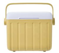 Cool Box Picnic Cooler 6 L, Camping Fridge with Ice Pack, Insulated Chest for Preparing Meals, Road Trips, Fishing Milk Storage, Outdoor Adventure, Car Consumption, Construction