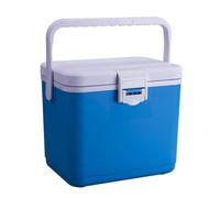 Cool Box - Portable Insulated Cooler, 4.5L Insulated Ice Box with Handle Camping Car Refrigerator Heat Preservation Fod Storage Cooler for Picnic, Beach, Camping, Lunch & Travel