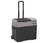 (40 L) vidaXL Cool Box with Wheel and Handle Cooler Box 25 L Black and Grey PP and PE