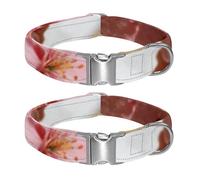 Cool Calm Adjustable Pet Collar for Small Medium Large Dogs & Cats, Reflective Strip for Night Safety, Soft Comfort Pad