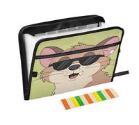 Cool Cartoon Ferret Accordion File Organizer 13 Pockets Expandable File Folder with Labels Bill Receipt Document Holder